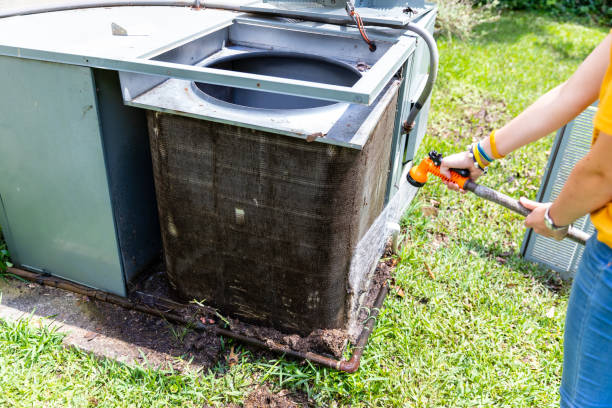 Air Duct Mold Removal in VA