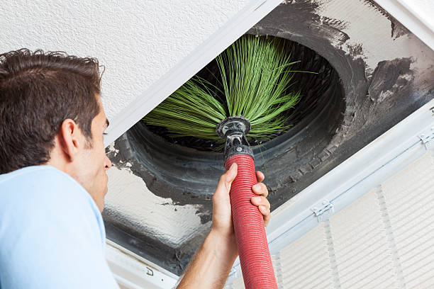 Best Dryer Vent Cleaning Services  in Basye, VA