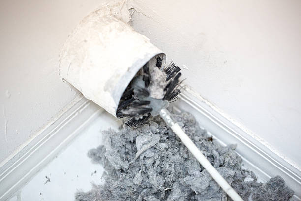 Best Affordable Duct Cleaning Services  in Basye, VA